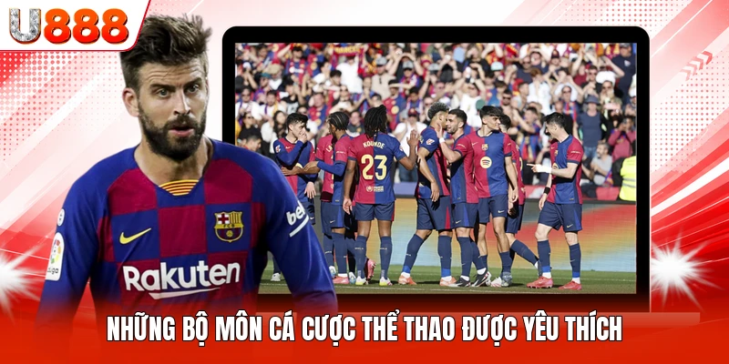 Những bộ môn cá cược thể thao được yêu thích